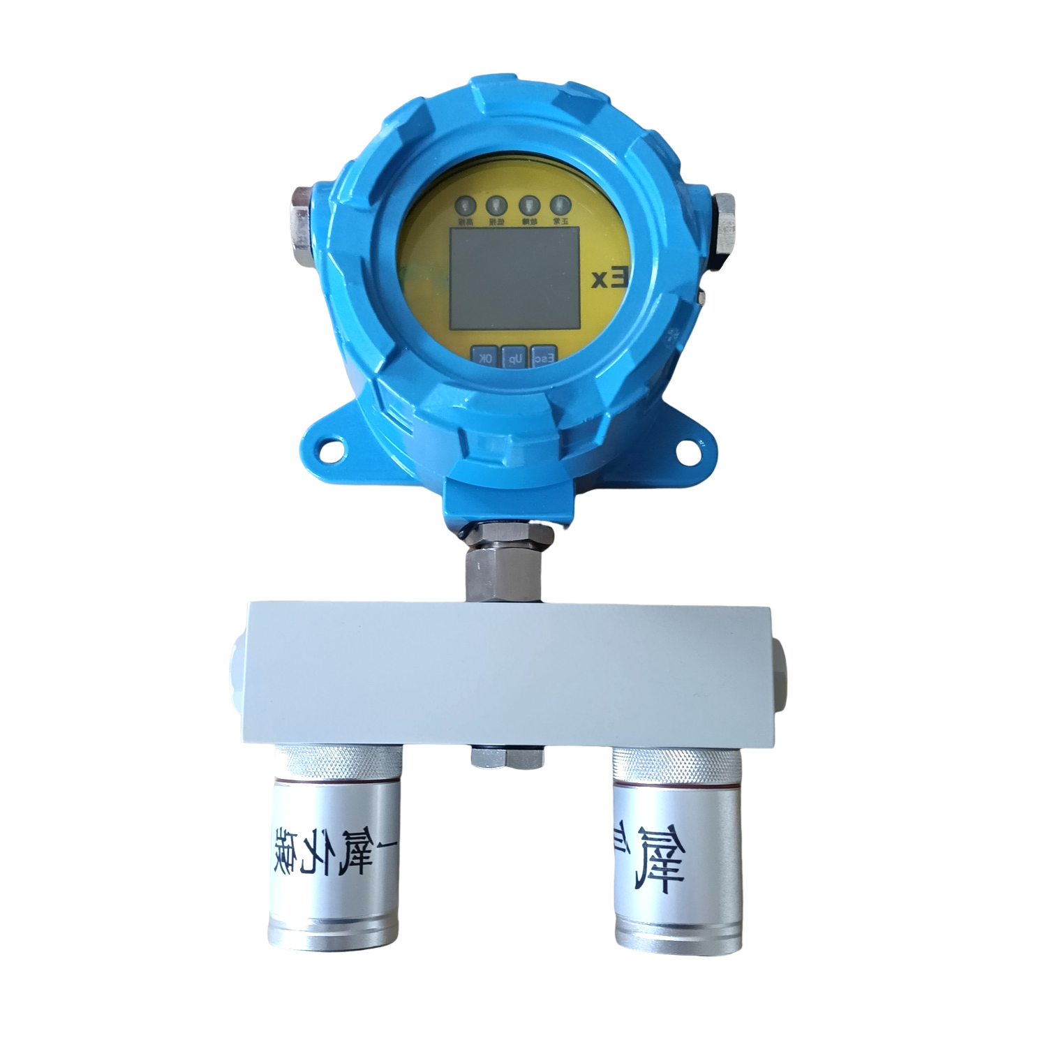 ZG280S2  防爆二合一
